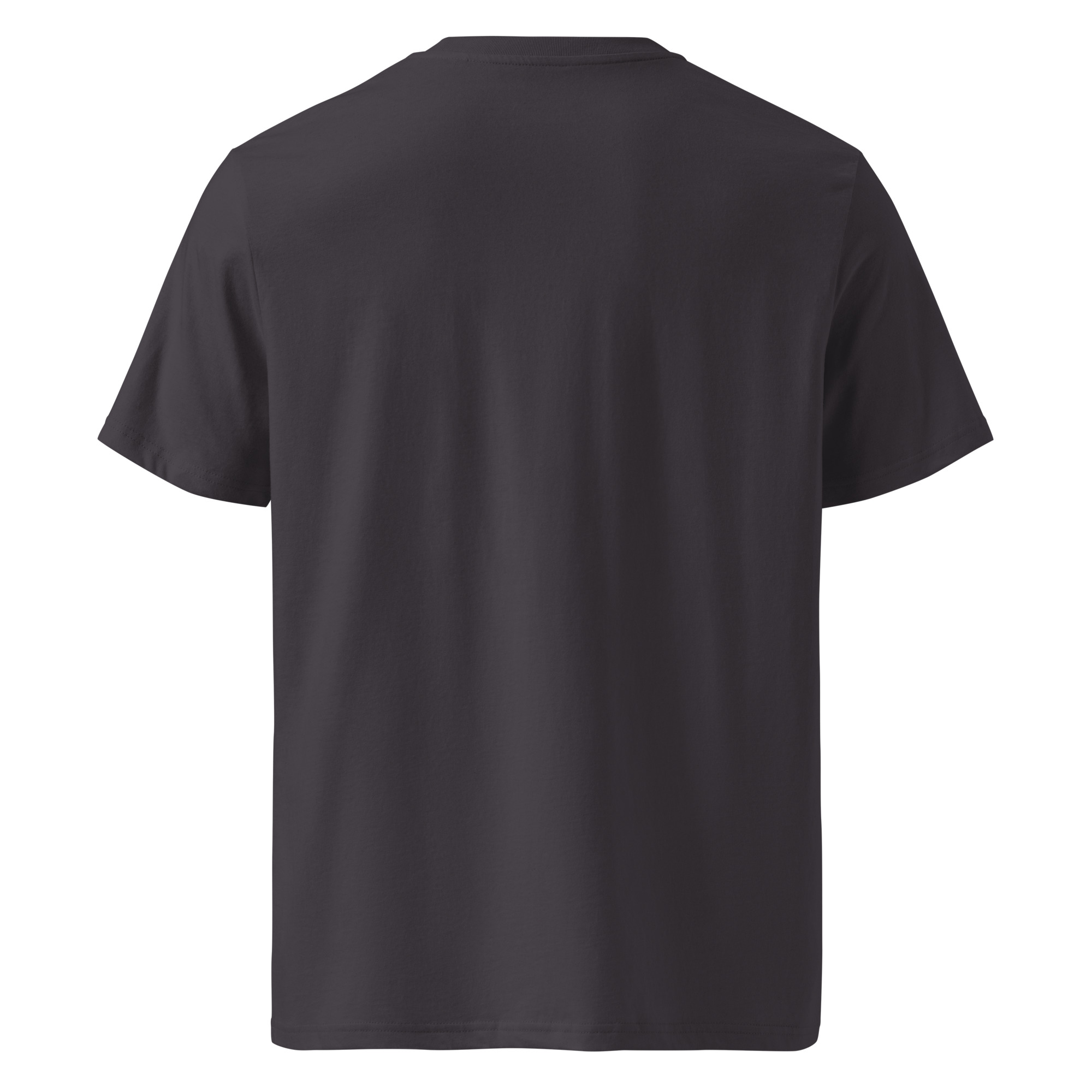 Unity Within Spirit Tee - Image 3
